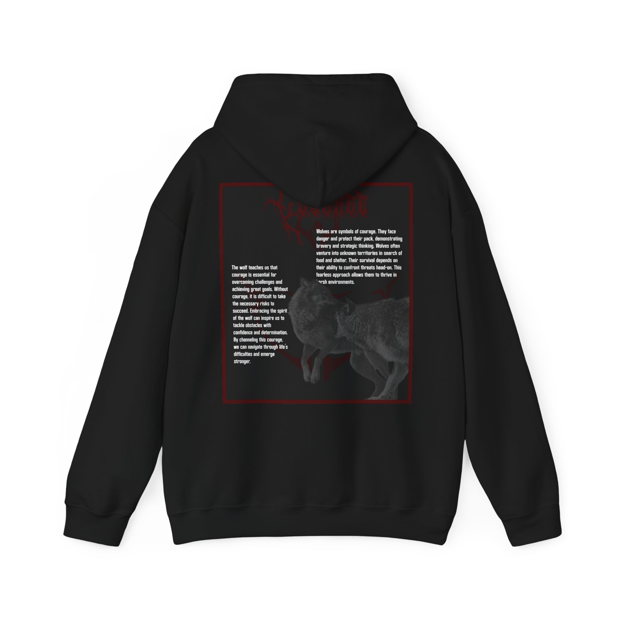 Hoodie Product