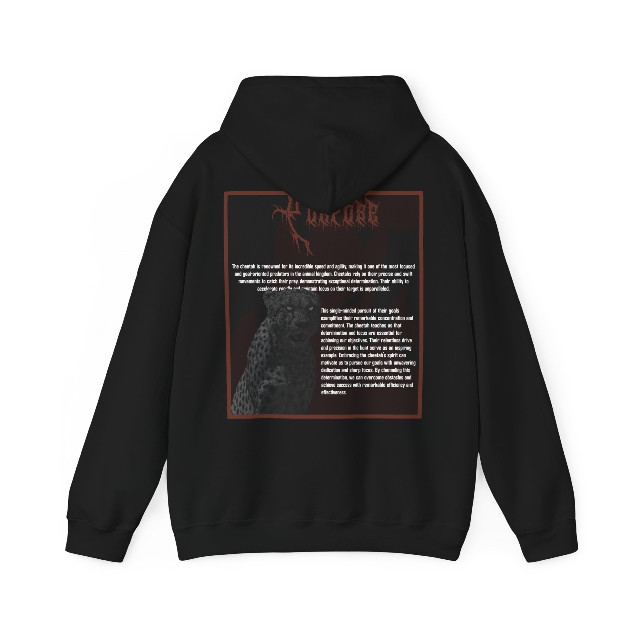 Hoodie Product